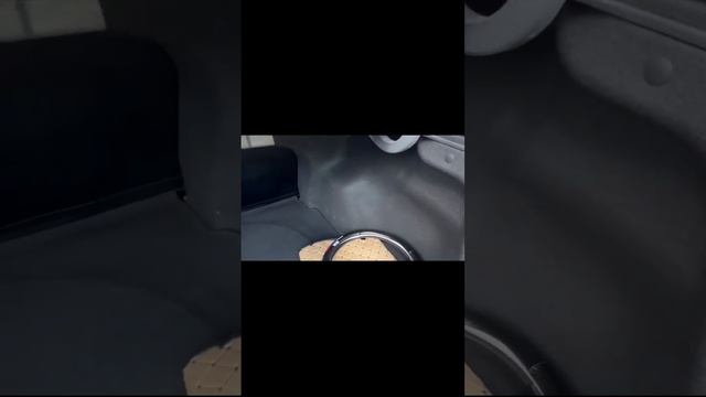 РИО 17 год МТ. Видео продавца