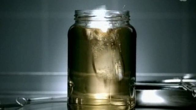 2009_39_s_Visionlab