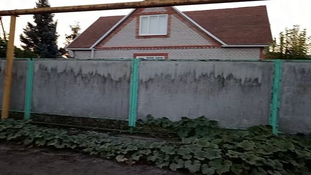 19.08. 2026 год. Повседневные дела. Лето тепло. Утро.