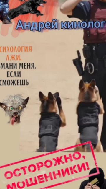 Разносы от Савелия