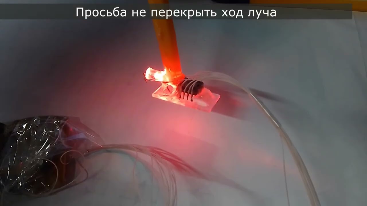 Графическое перо из мышки