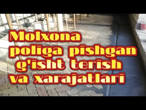 Molxona Poliga Pishgan G'isht Terish Xarajatlarni. Молхона полига пишган гишт териш  харажатлари
