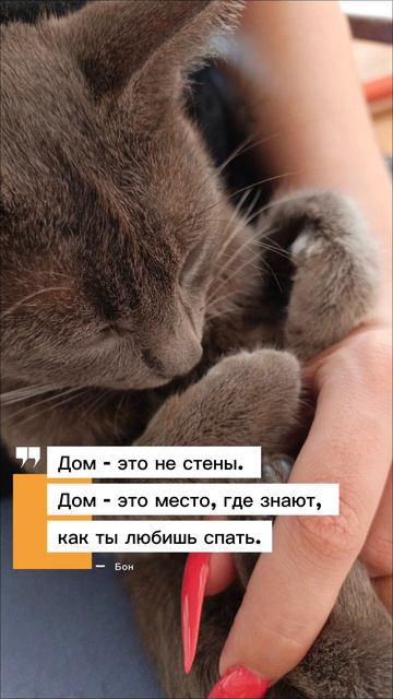 дом - это...
