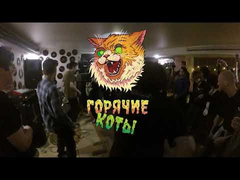 ГОРЯЧИЕ КОТЫ | АРХИВ БАР (06.04.24)