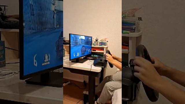 играю в гонки на руле
