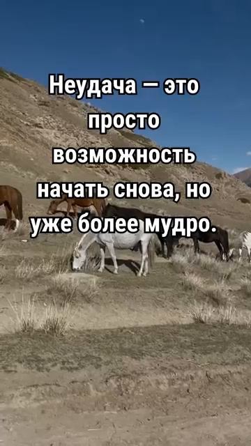 shorts ЦитатыПсихология отношений Мотивация Мудрые Советы Слова ФразыМудрые изречения