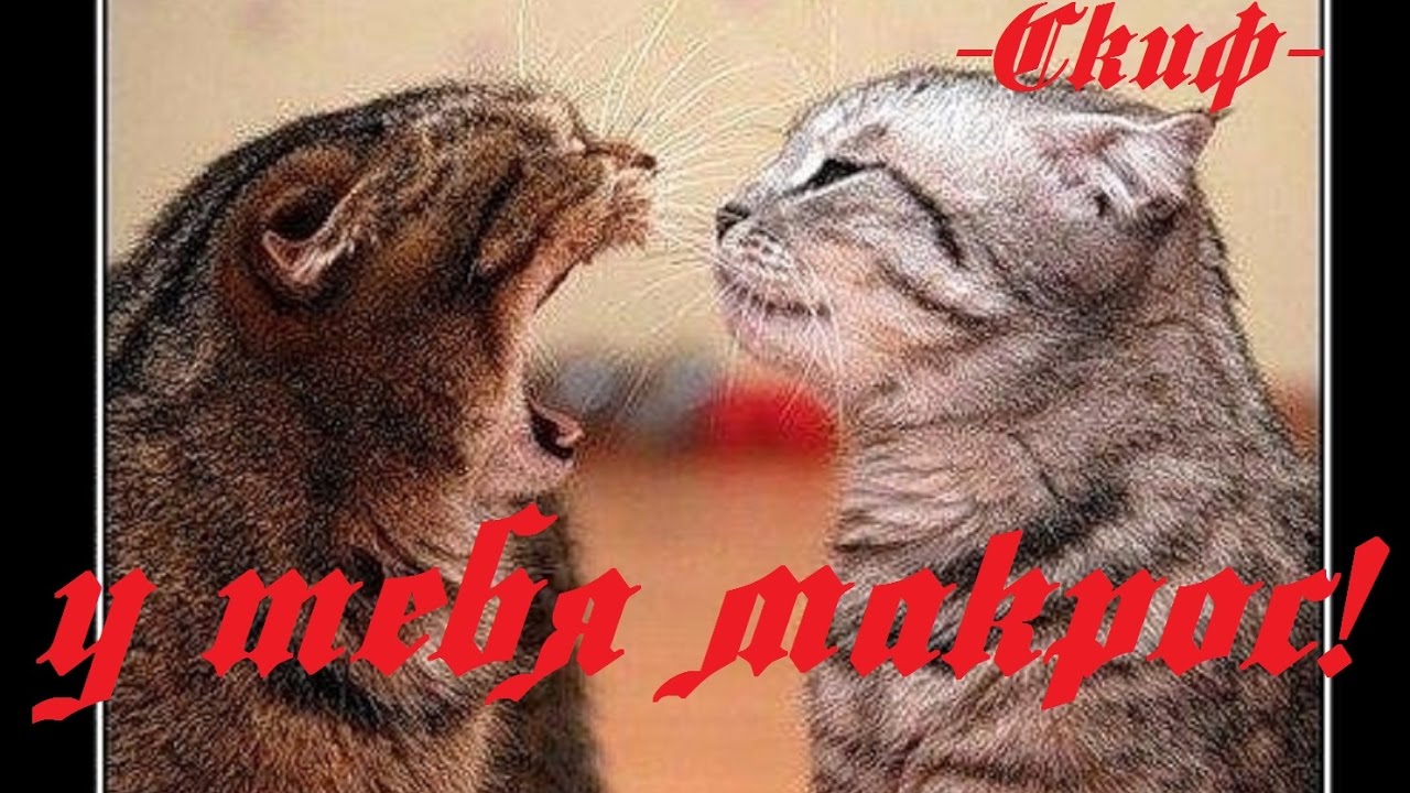 Сурвариум, вот какой макрос