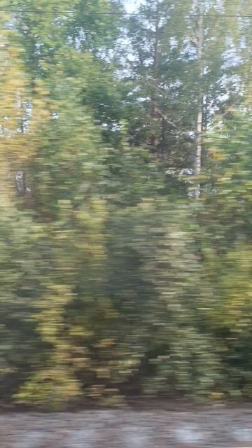 еду в курс в Казань