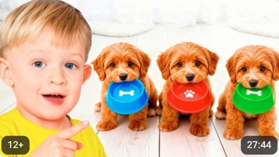 ⚡ Приключения с щенком🐕и другими животными! ⚡