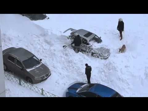 Собака помогает хозяину  Прикол