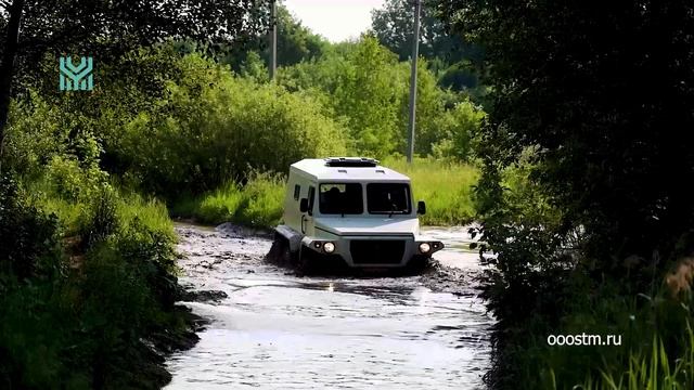 1. СТМ-399613