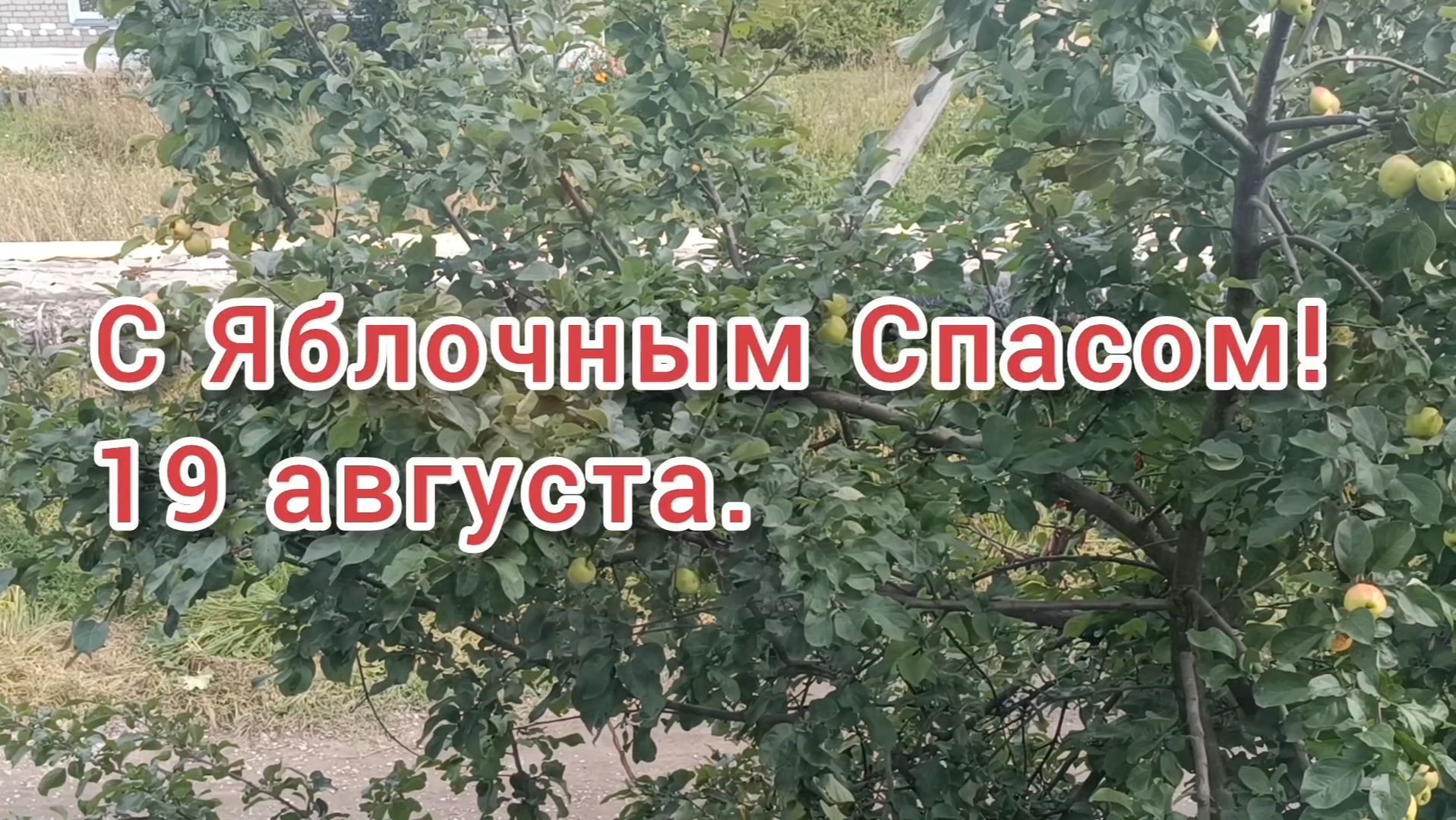 С Яблочным Спасом! Поздравляем!