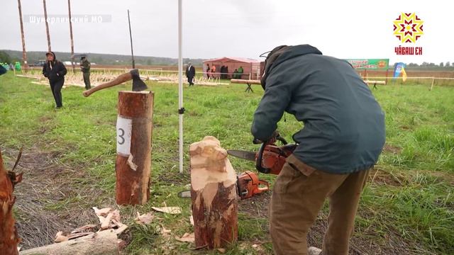 В Чувашии определили лучшего вальщика леса