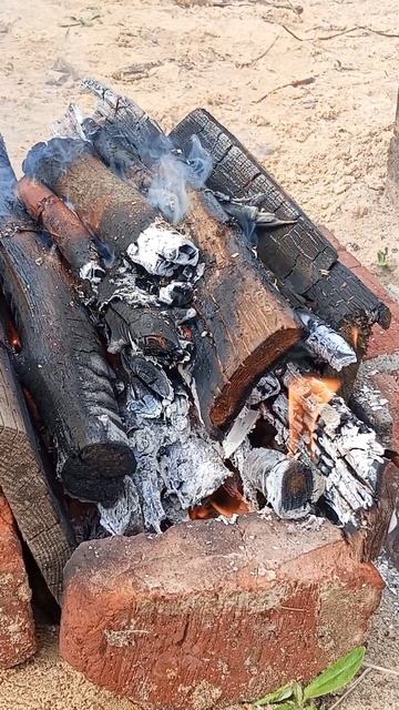 Костёр треск дров звуки природы лето пение птиц.