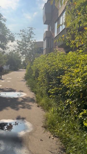 Прогулка по Жулябина: самые атмосферные места Электростали в одном видео.