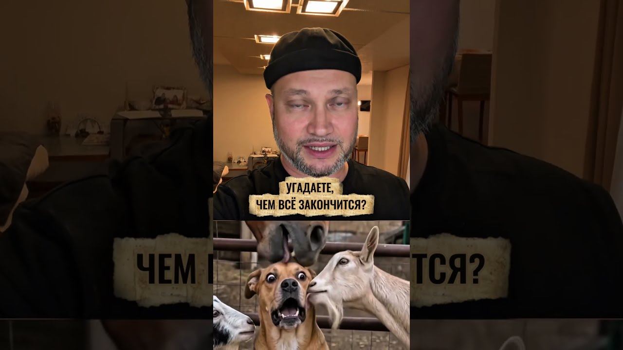 Обида на маму из детства: нужно ли прощать родителей?