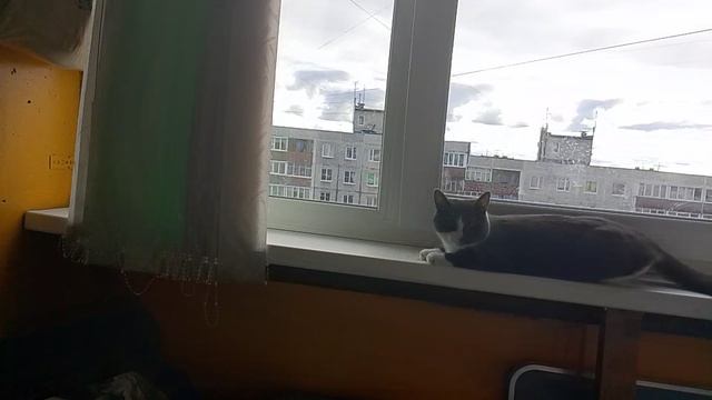 VID_20260819_153108