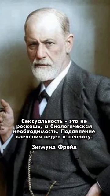 26 августа 6 поток трансформационной группы «Сексуальность». #психология #социальнаяпсихология