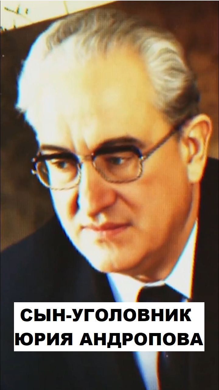 Сын-уголовник Юрия Андропова