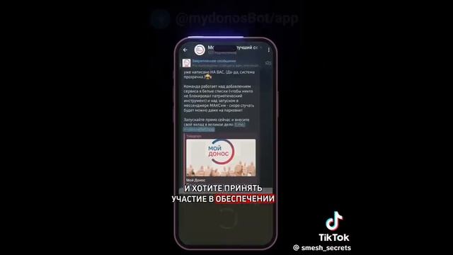 КГБ Ромашковой долины