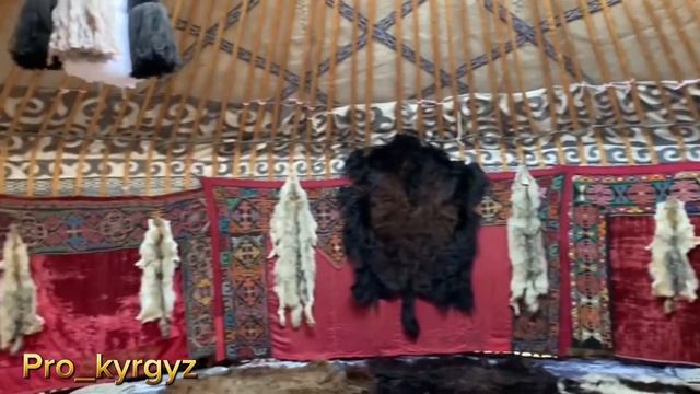 Ак сарай. Толук жасалгасы менен тигилген, корктуу боз уй. Юрта с полным комплектом.
