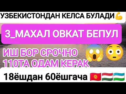 Иш бор 18ёшдан 60ёшгача 🔥узб тож кирг келса документ килиб беради 😱#работа #иш #жумуш