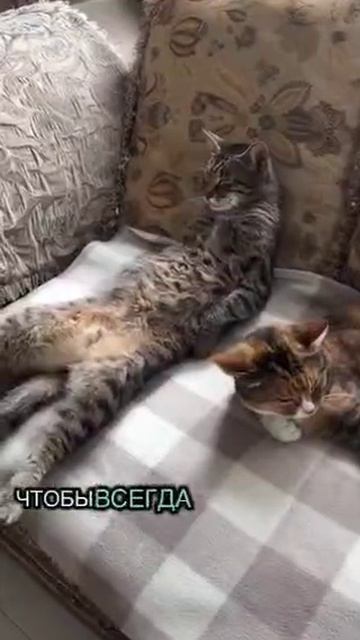 Действительно зачем?