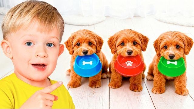 Приключения по уходу за щенком + другие истории о животных