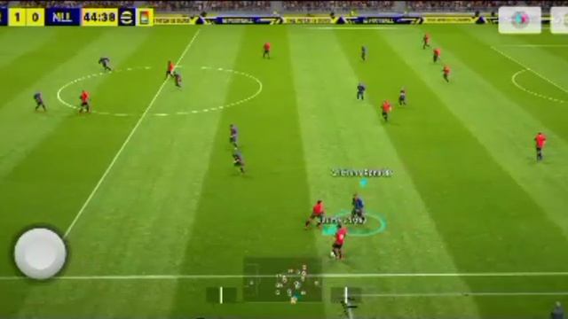 1000050592.mp4