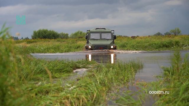 СТМ-399662