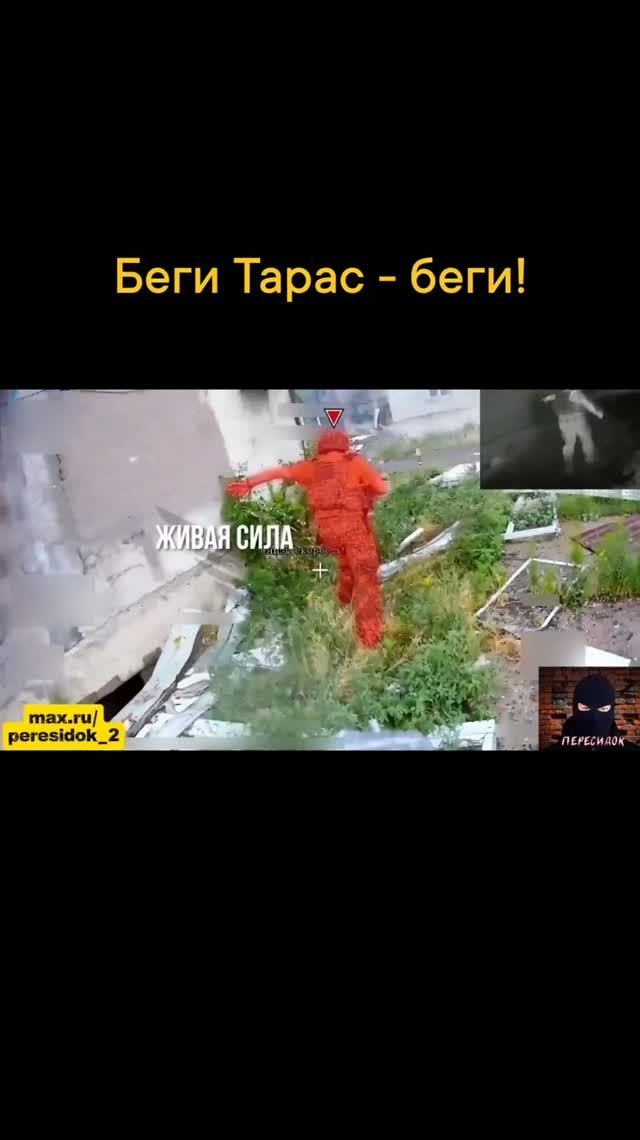 Беги Тарас - беги