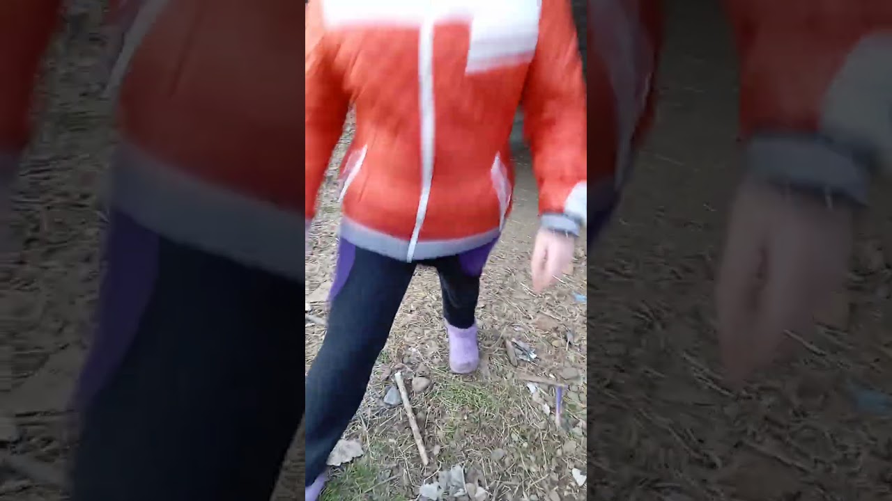 систор