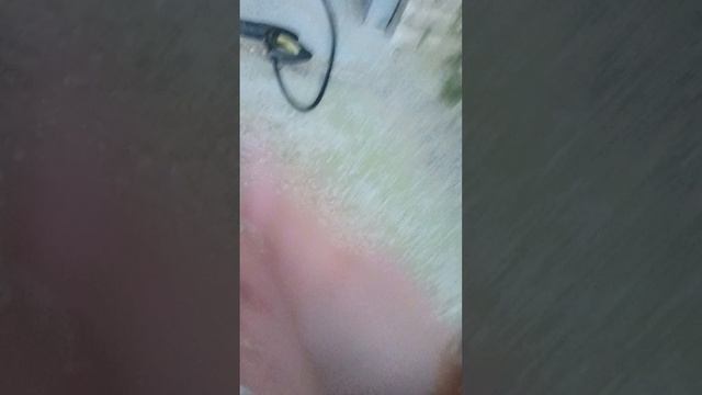 ананимус 1