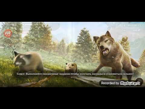 Играю в The Wolf и опять же даю акк🥰