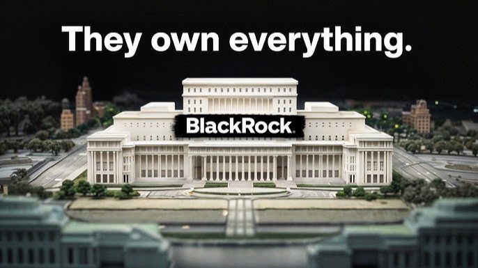 BlackRock — это ужас ?