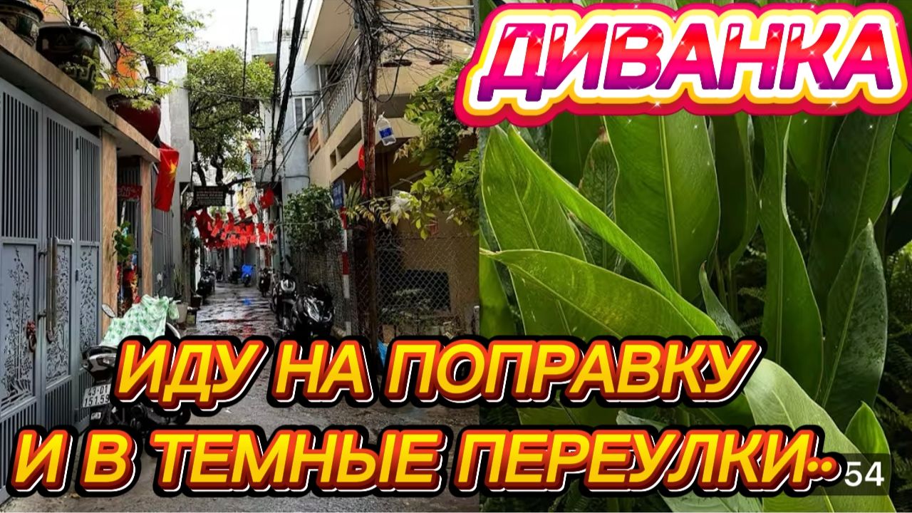 САМВЕЛ АДАМЯН,МИСС ВОНГ,ИДУ НА ПОПРАВКУ И В ТЕМНЫЕ ЗАКОУЛКИ..