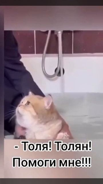 🤣