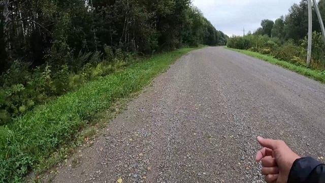День 664. Спурт от медведя. Дистанция 14 километров.
