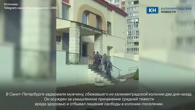Сбежавшего из калининградской колонии преступника задержали в Петербурге