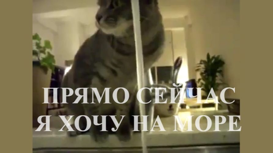 ПРЯМО СЕЙЧАС Я ХОЧУ НА МОРЕ !