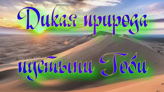 Дикая природа пустыни Гоби