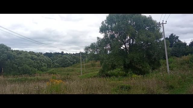 Выпускаться реже - выход?