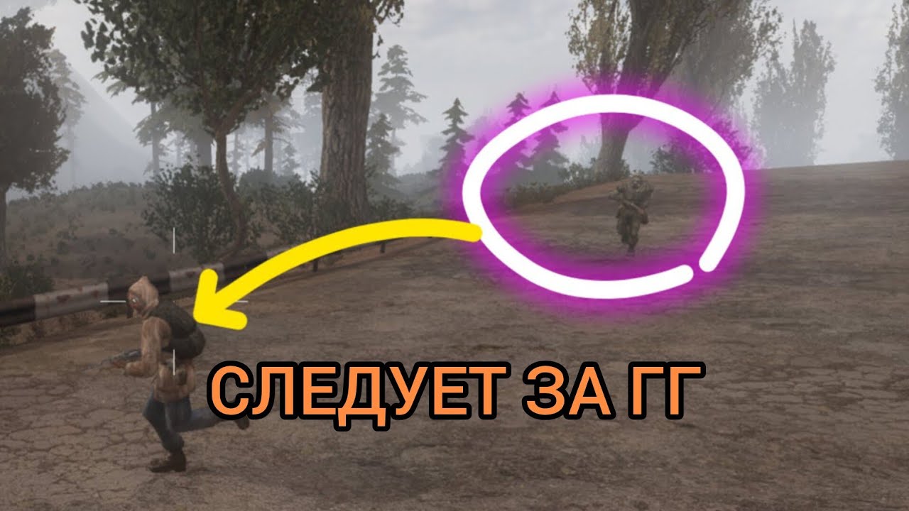 СХЕМА [COMPANION] И [KARAVAN] КАК СДЕЛАТЬ НАПАРНИКА СТАЛКЕР ТЧ☢️