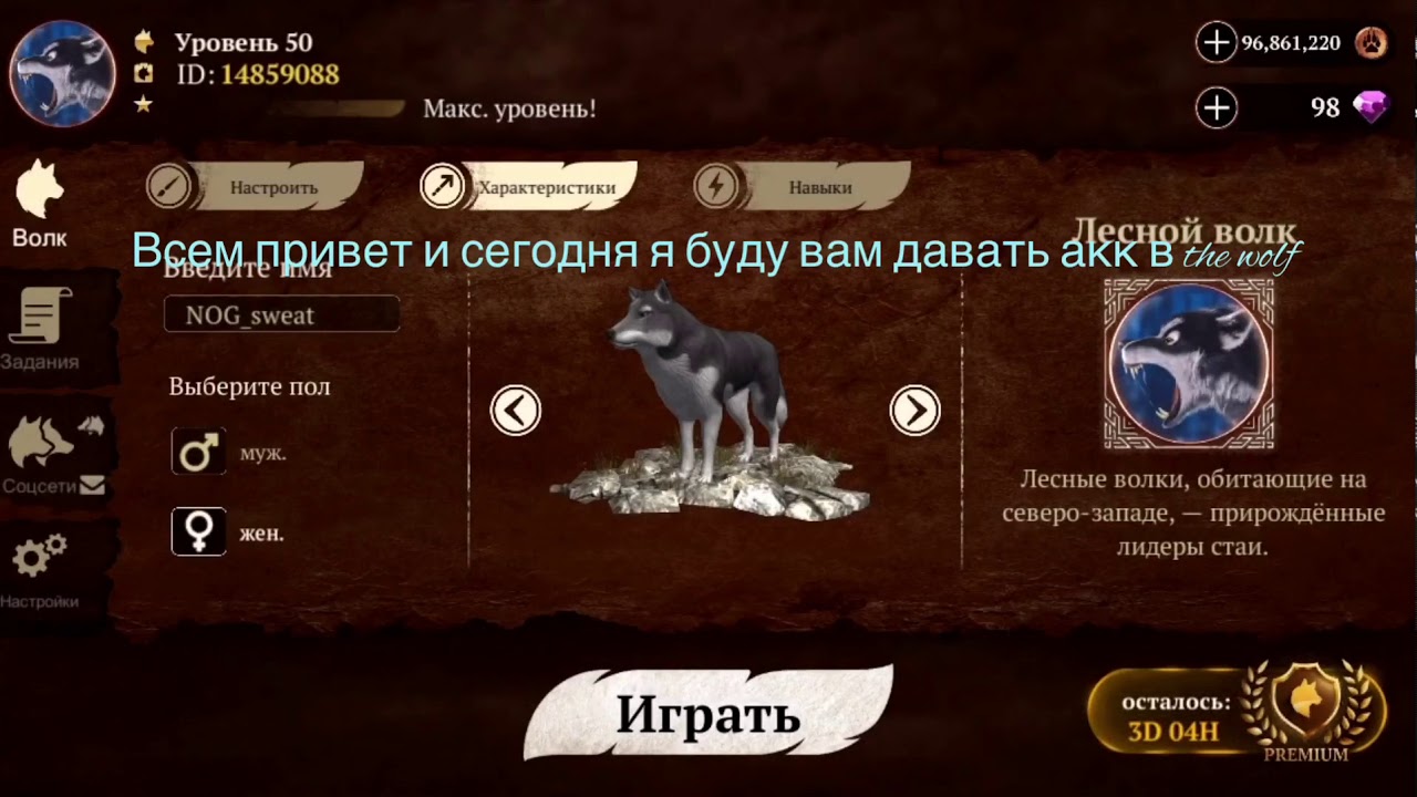 Акк в The Wolf/спасибо 45 подписчика :3