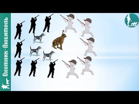 Охота на зайца 