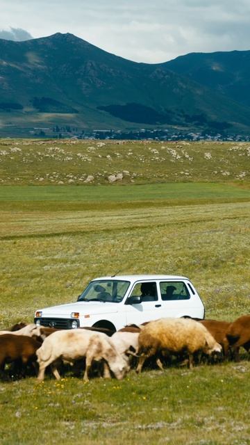 Брутальная. Настоящая. Незабываемая. Это Niva!