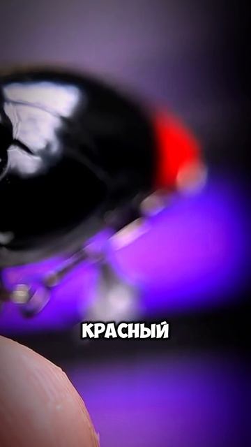 РАЗРЫВНАЯ по ГОЛАВЛЮ  Подробно в ТГ: LegkayaRybalka  рыбалка воблер голавль спиннинг обзор