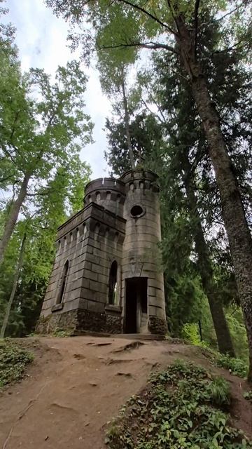 Часовня в Усадьбе Токарского Заветное Окуловский район Новгородская область. shorts