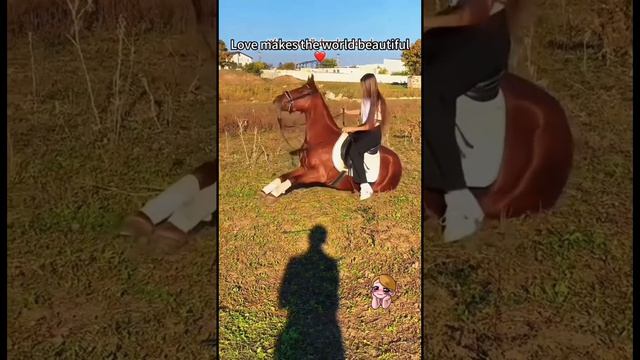 Розыгрышы Пранки и Приколы