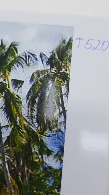 Сравнение качества печати плоттеров HP Designjet T520 и HP Designjet T120.